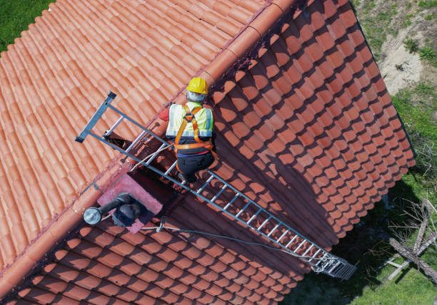 Best Roof Insulation Installation  in White Bluff, TN