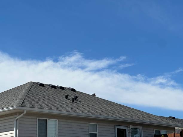 Best Roof Moss and Algae Removal  in White Bluff, TN
